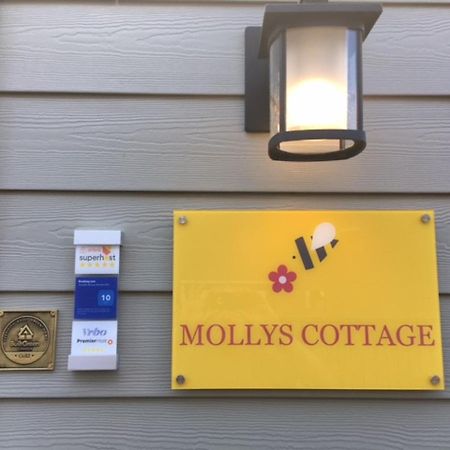 Mollys Cottage-The Suite On Vancouver Island Near Yyj Airport And The Wa And Bc Ferries North Saanich Luaran gambar