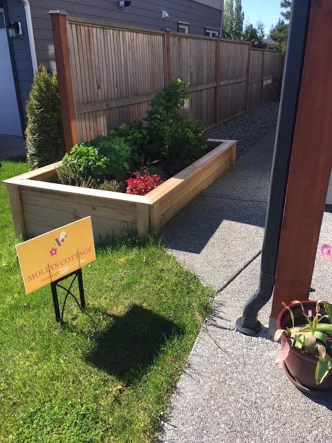 Mollys Cottage-The Suite On Vancouver Island Near Yyj Airport And The Wa And Bc Ferries North Saanich Luaran gambar
